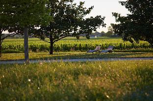 Chateau Hotel & Spa Grand Barrail,Gironde>>Bordeaux,5 star