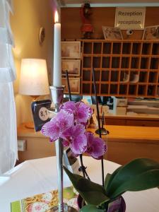 hotel wilhelm von nassau