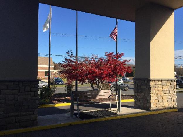 comfort inn and suites danbury bethel
