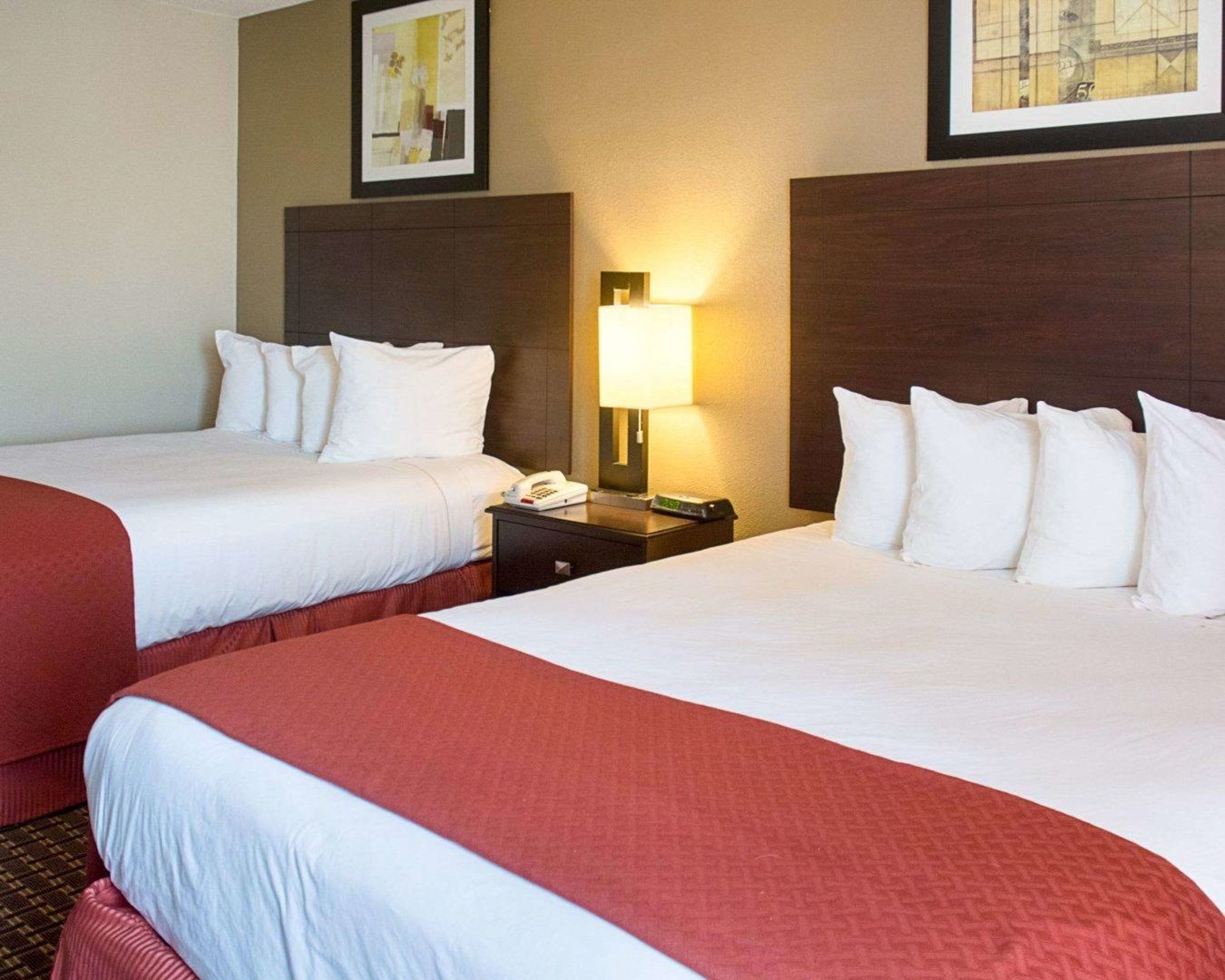 quality inn and suites