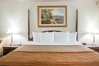 Comfort Inn Plainwell,Allegan County>>Allegan,3 star