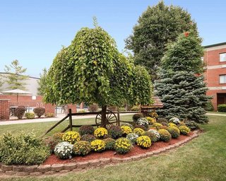 Comfort Suites Parkersburg South,Mineralwells>>Mineral County,3 star
