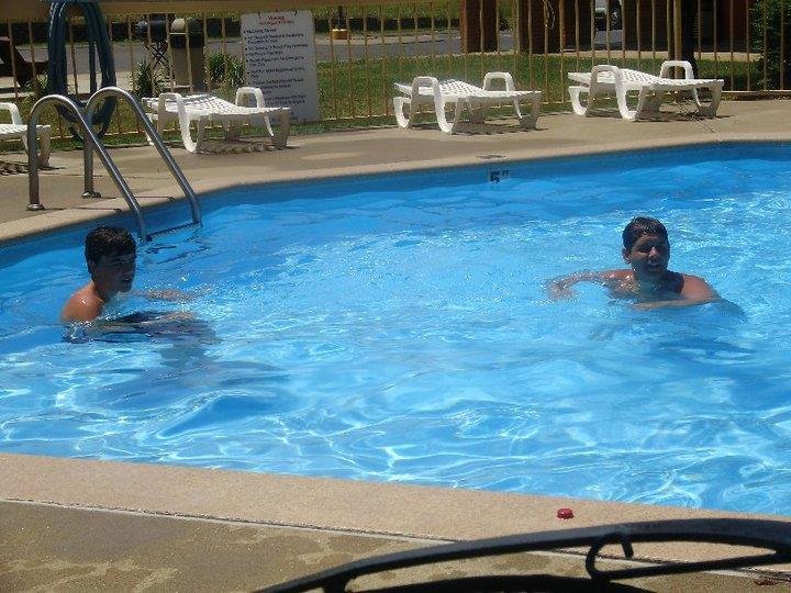 springfield inn tn