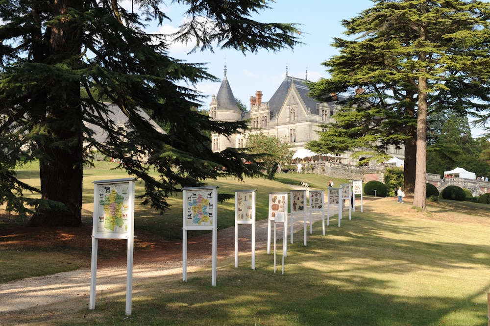 chateau de la bourdaisiere