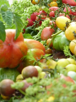 chateau de la bourdaisiere