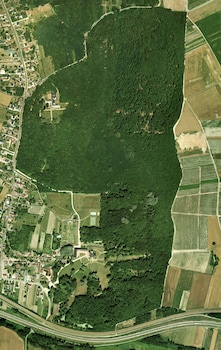 chateau de la bourdaisiere