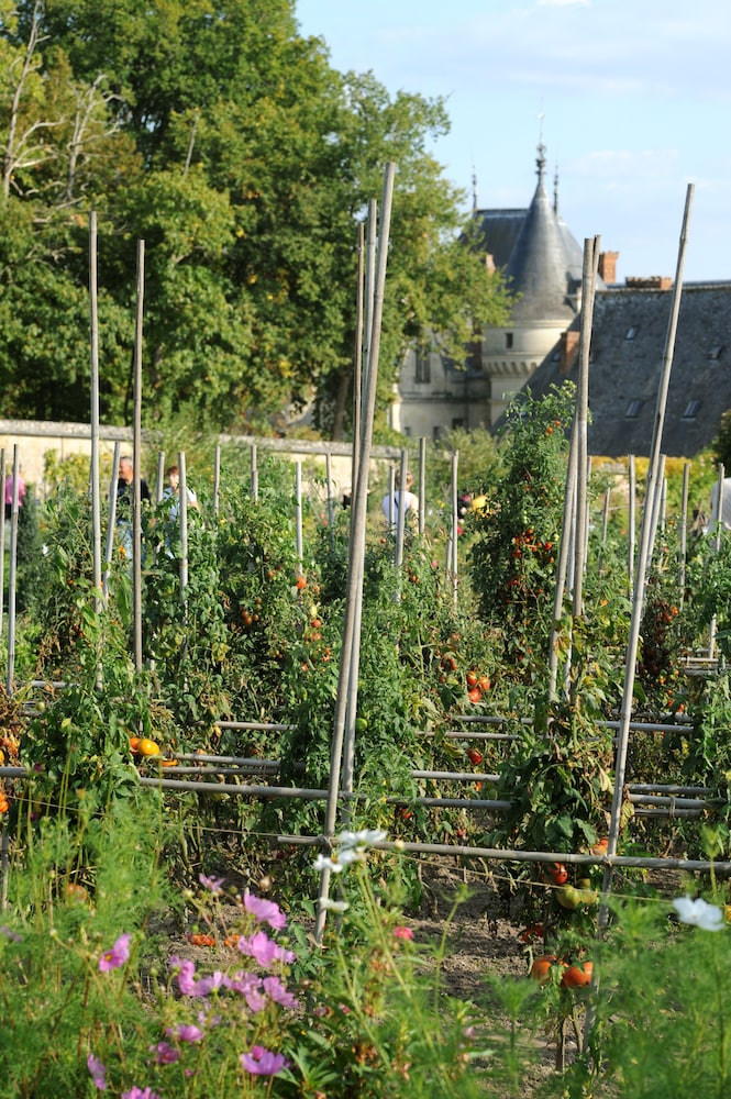 chateau de la bourdaisiere