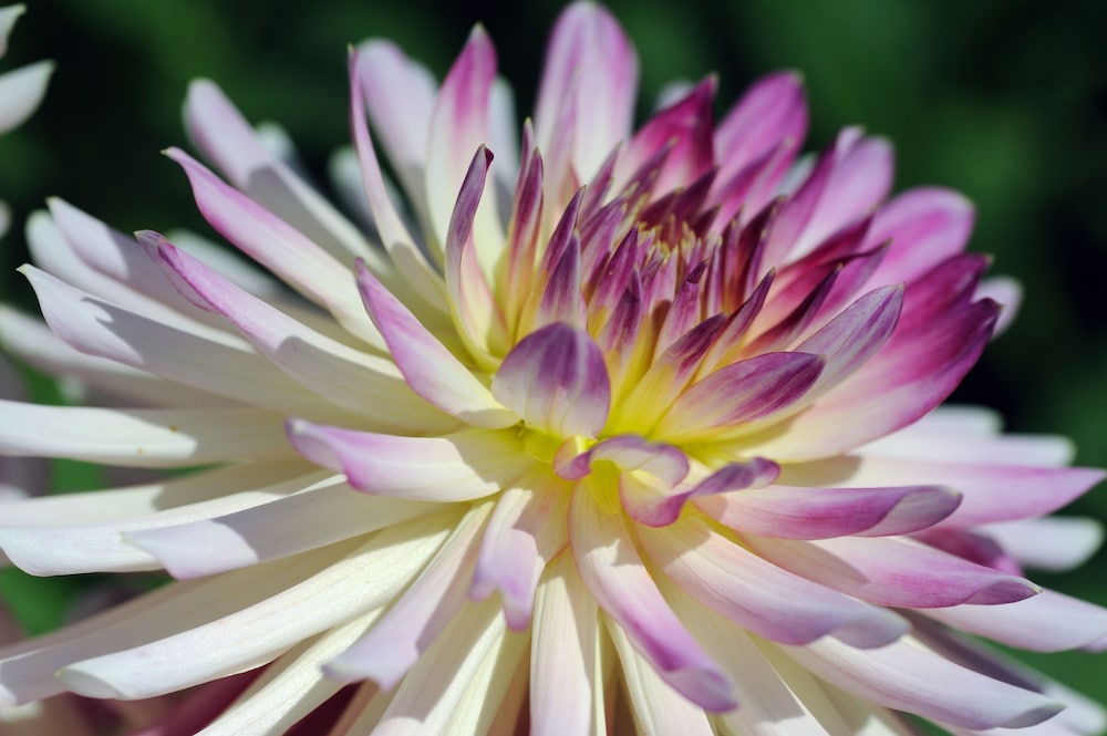 chateau de la bourdaisiere