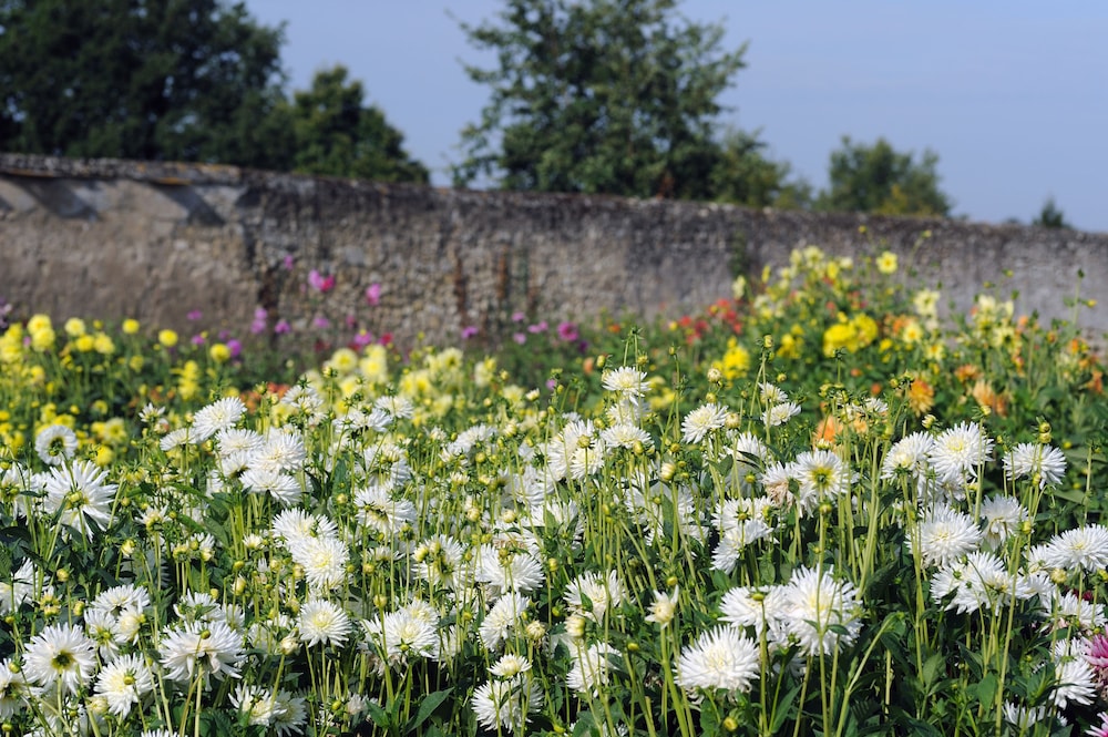 chateau de la bourdaisiere
