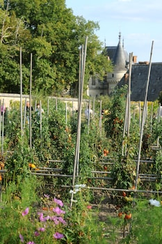 chateau de la bourdaisiere