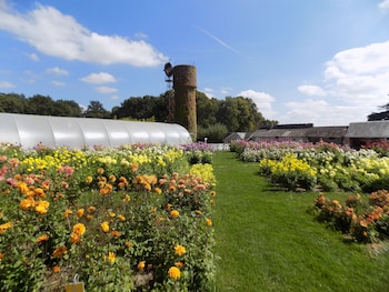 chateau de la bourdaisiere