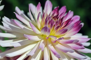 chateau de la bourdaisiere