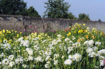 chateau de la bourdaisiere