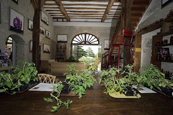 chateau de la bourdaisiere