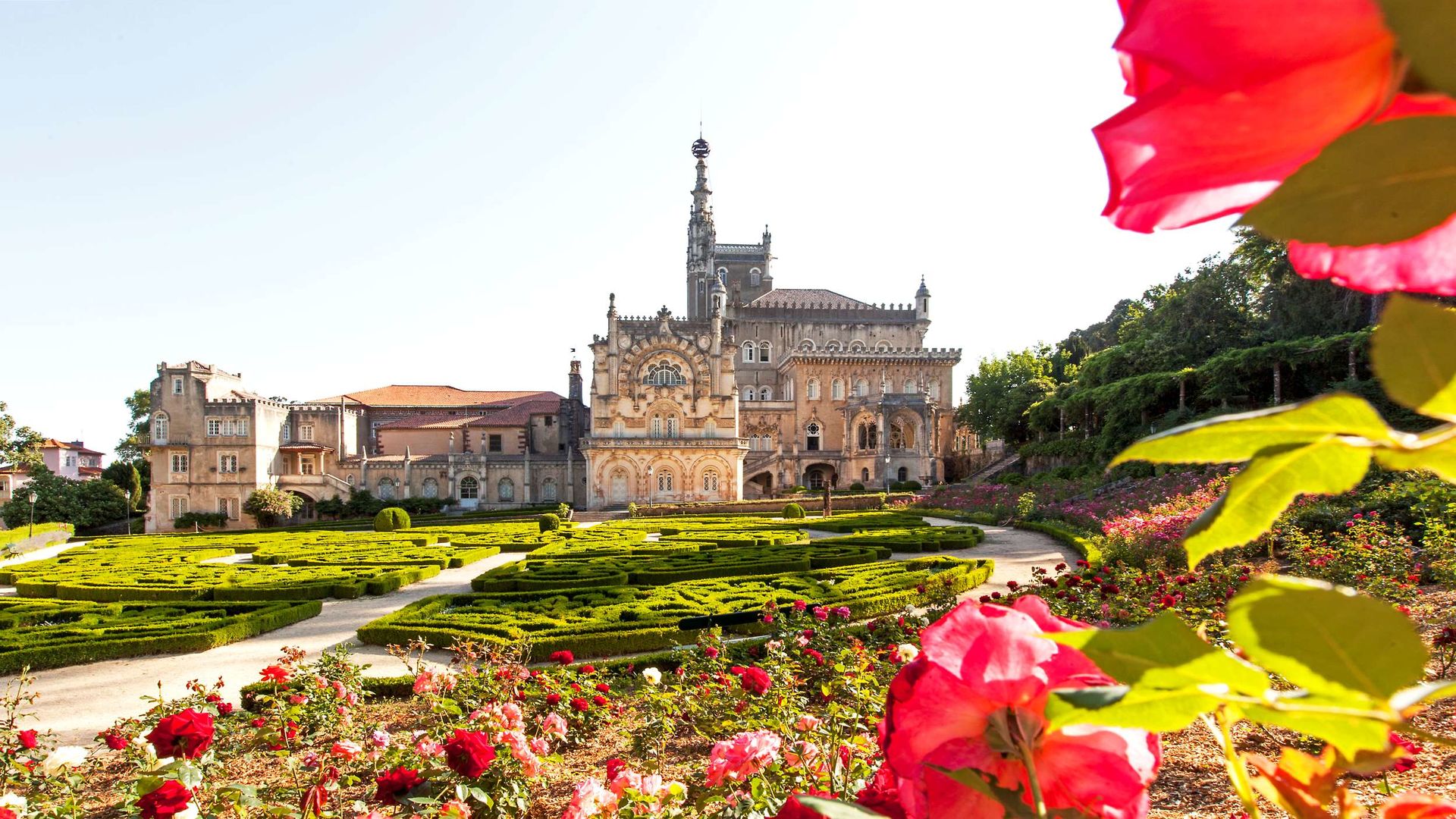 bussaco palace hotel