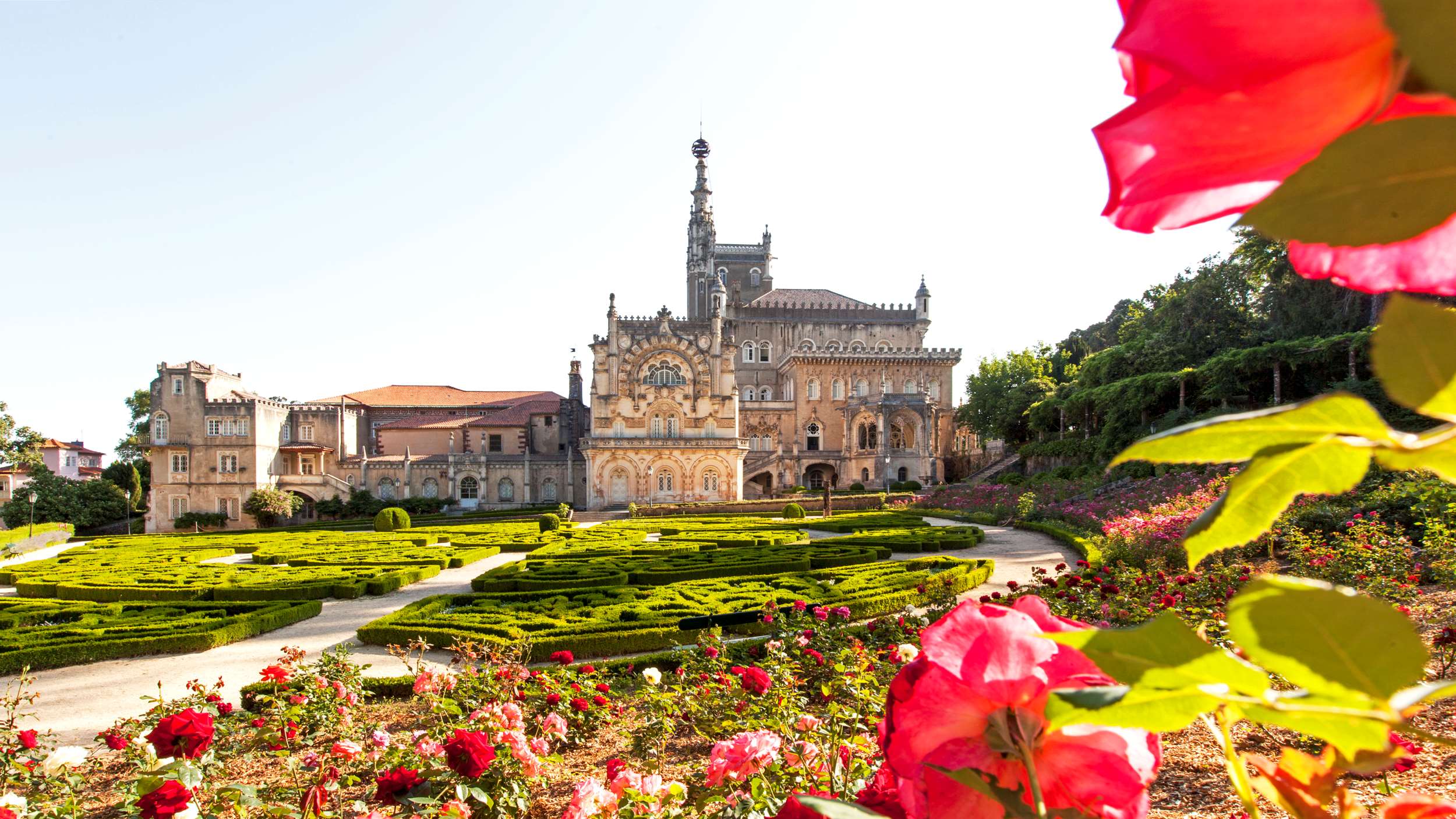 bussaco palace hotel