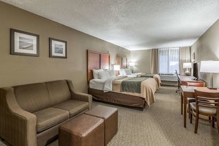 comfort inn