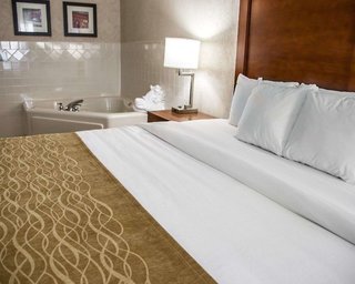 Comfort Inn & Suites Riverview Near Davenport And I-80,Quad Cities>>Le Claire,3 star