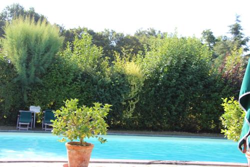 les hauts danjou