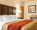 comfort inn and suites