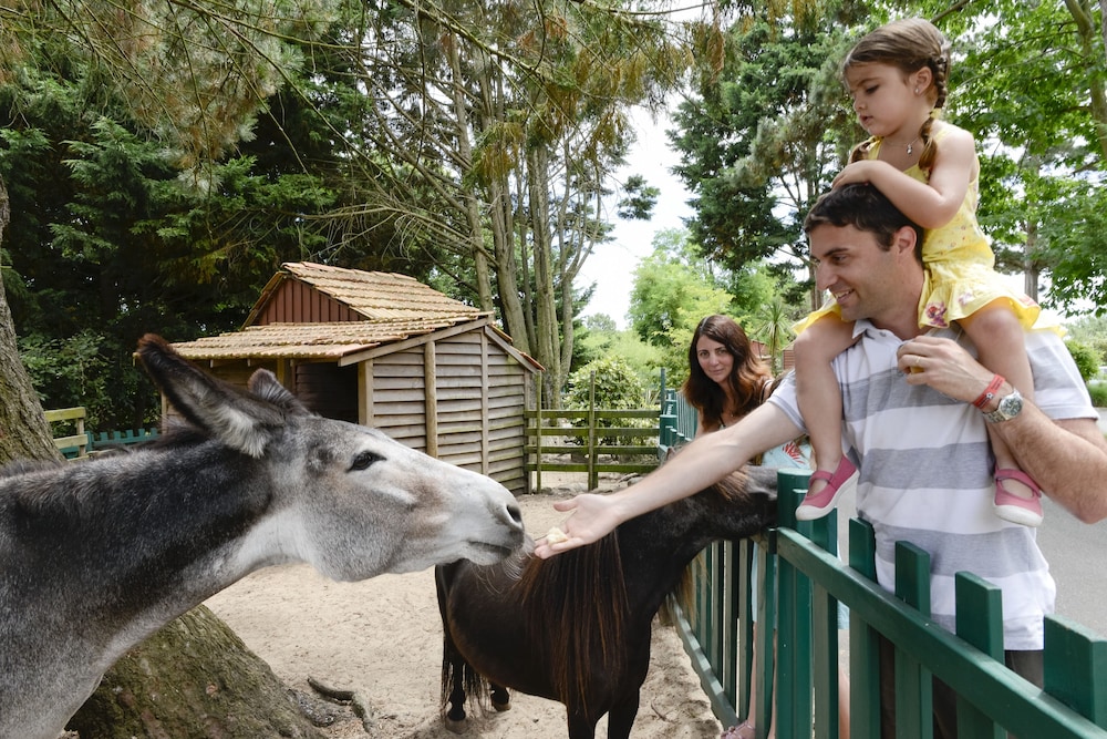 village pierre and vacances moliets