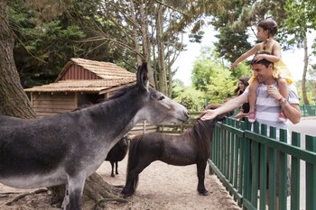 village pierre and vacances moliets