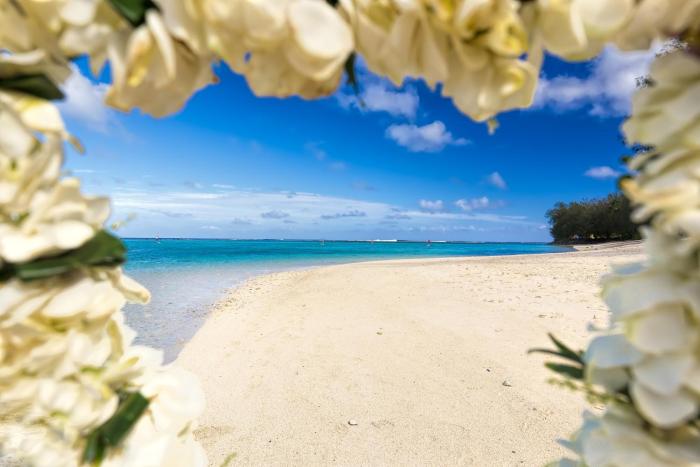 the rarotongan beach resort and lagoonarium