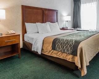quality inn