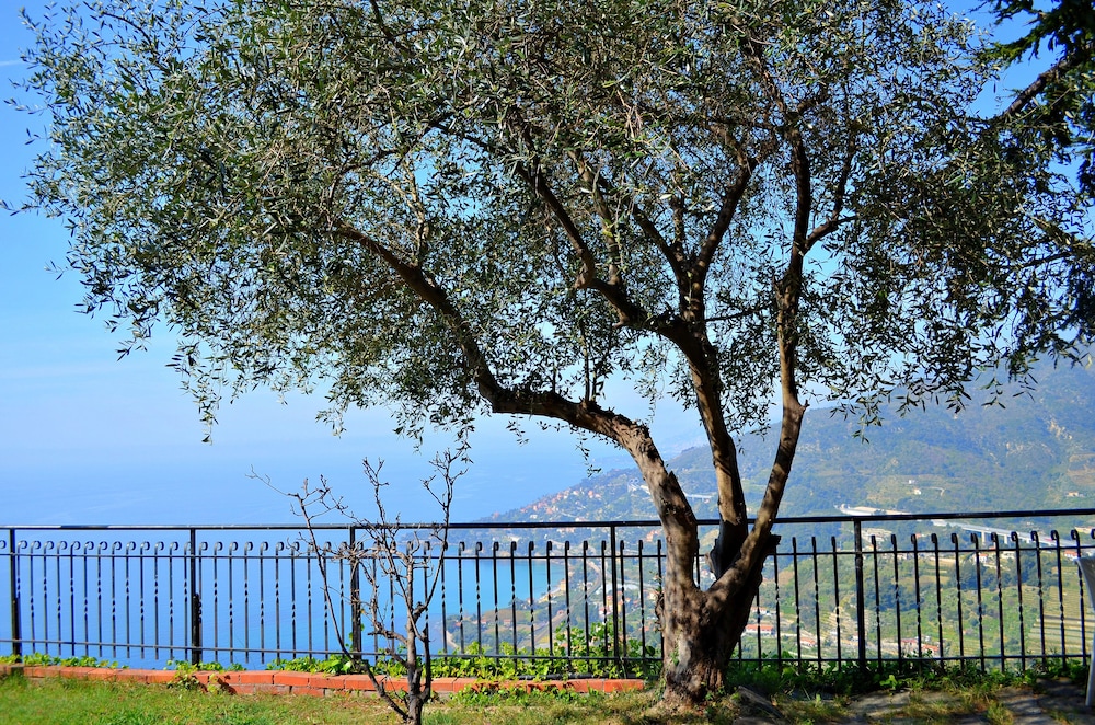 la riserva di castel dappio