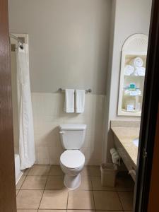 holiday inn express and suites alice by ihg