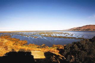 puno