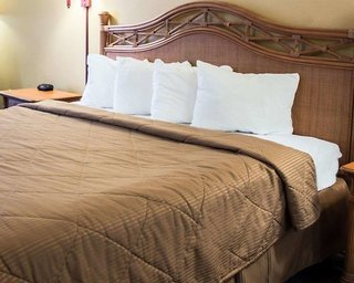 quality inn and suites st augustine beach area