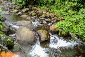 el tucano resort and thermal spa