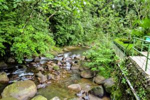 el tucano resort and thermal spa