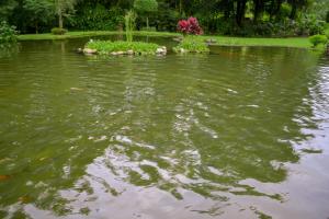 el tucano resort and thermal spa