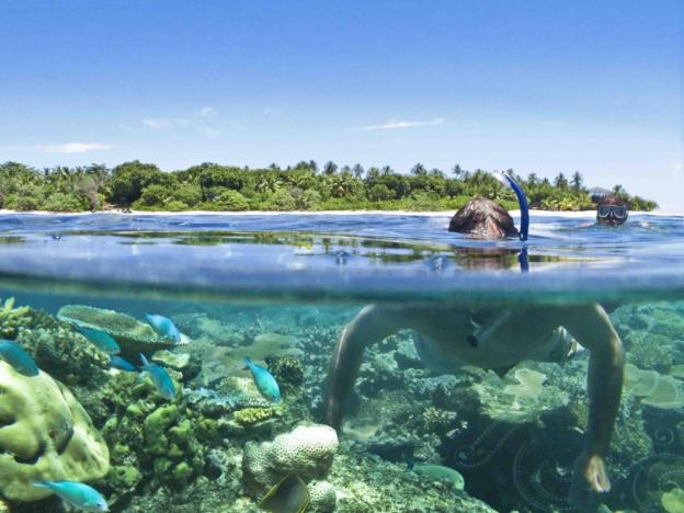 vomo island resort