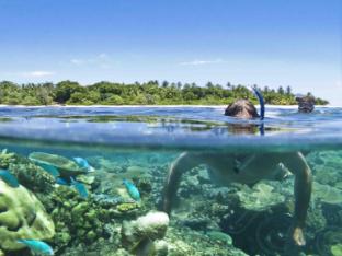 vomo island resort
