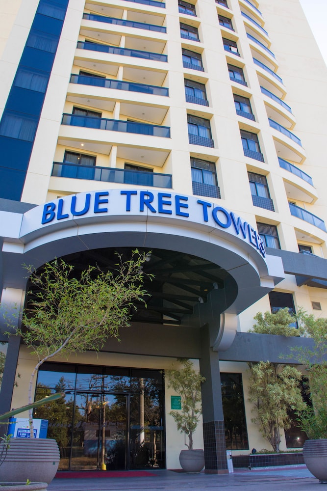 blue tree towers analia franco