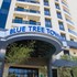 blue tree towers analia franco