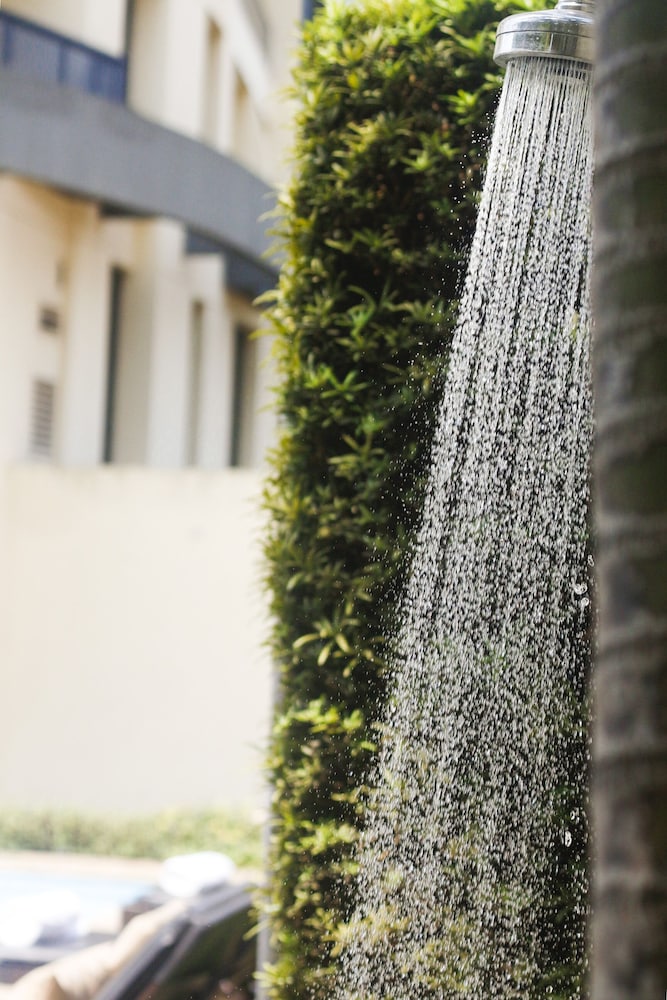 blue tree towers analia franco