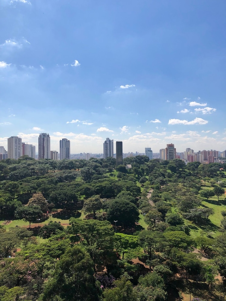 blue tree towers analia franco