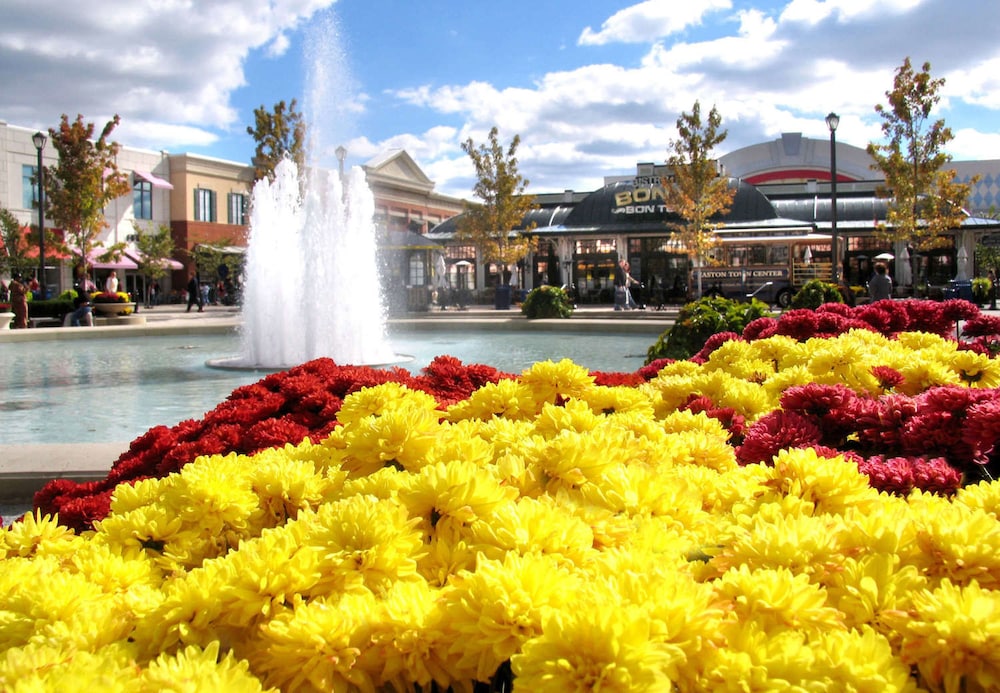 springhill suites by marriott columbus airport gahanna