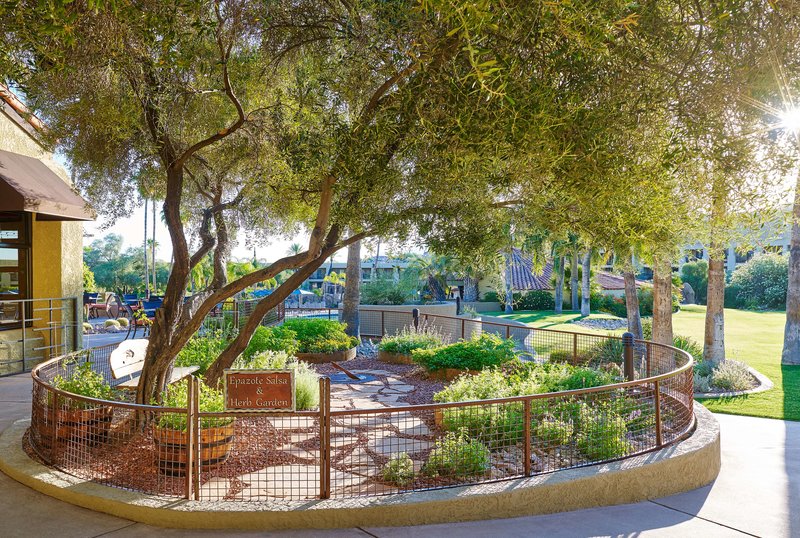 el conquistador tucson a hilton resort