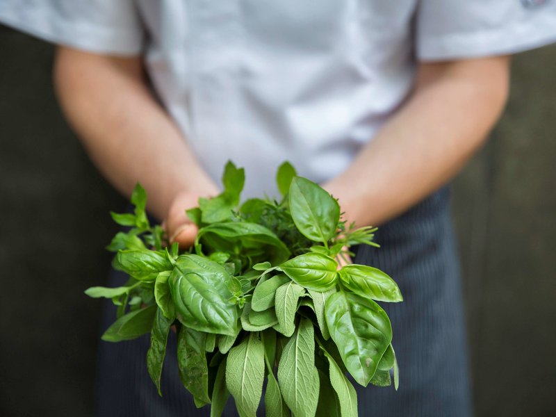 ibis lyon caluire cite internationale