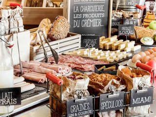 ibis lyon caluire cite internationale