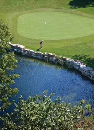 worldmark branson