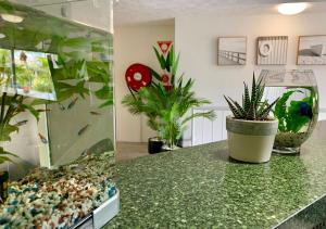 Outrigger Burleigh,Burleigh Heads>>Burleigh,4 star