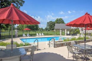 swan lake resort