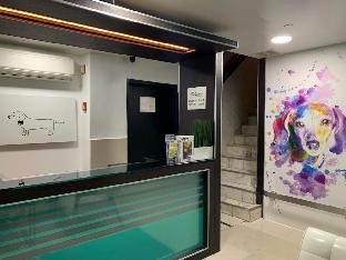 Doxie Hotel,New York>>Midtown,2 star