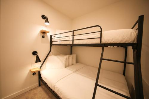 doxie hotel